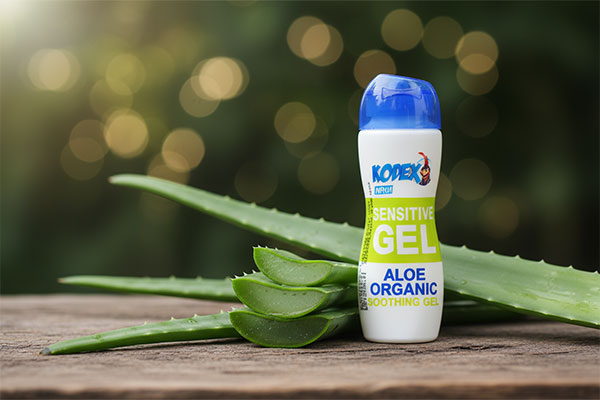 ژل روان&zwnj;کننده حساس کدکس آلوئه ورا کنار برگ&zwnj;های آلوئه ورا