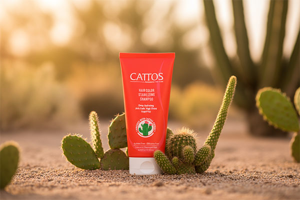 شامپو موهای رنگ شده و آسیب دیده کاتوس با عصاره کاکتوس