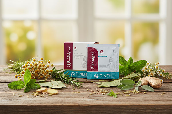 ترکیبات گیاهی پلانتاژل دینه برای سلامت گوارش