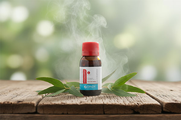 محلول اکالیپتوس اینهالر دینه روی میز چوبی با برگ‌های اکالیپتوس