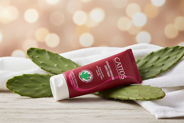 نرم کننده موهای رنگ شده کاتوس روی سطح چوبی با برگ‌های کاکتوس