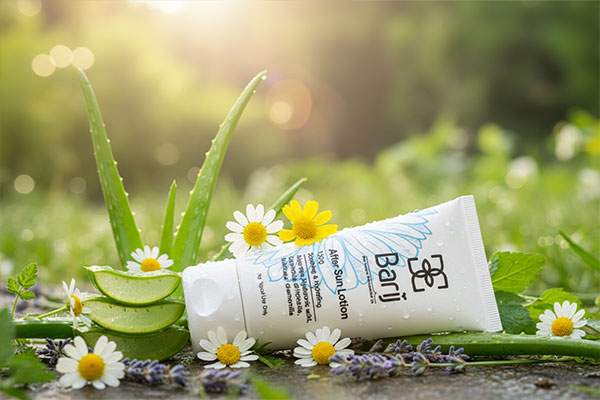 ترکیبات طبیعی لوسیون بعد از آفتاب باریج