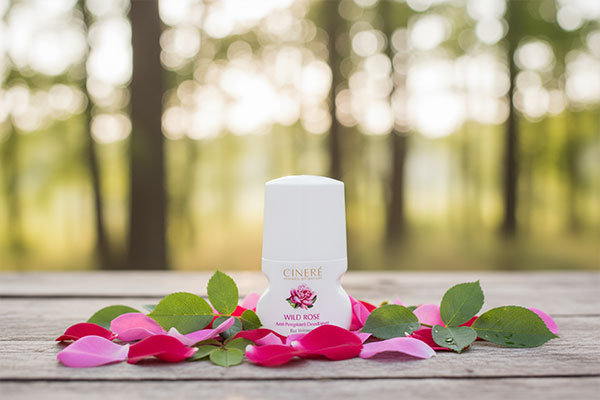 دئودورانت وایلد رز سینره با گلبرگ‌های رز