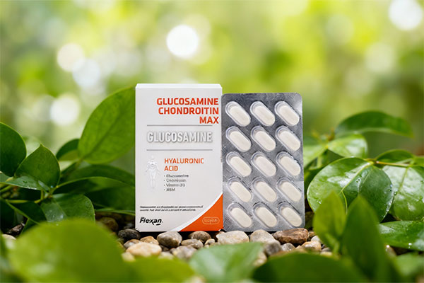 قرص گلوکزامین کندرویتین مکس فلکسان در کنار عناصر طبیعی