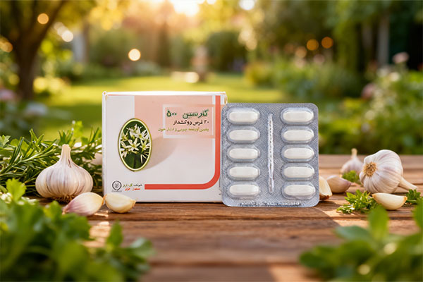 قرص گارسین 500 گل دارو با عناصر طبیعی سیر و گیاهان